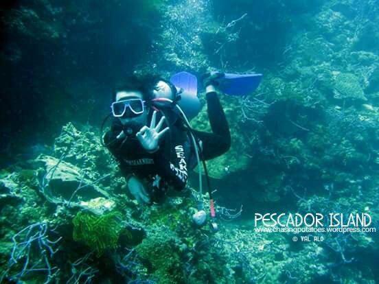 The Three Sites in Moalboal : Haven for Divers and Non Divers Alike