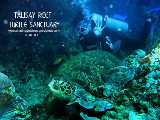 The Three Sites in Moalboal : Haven for Divers and Non Divers Alike