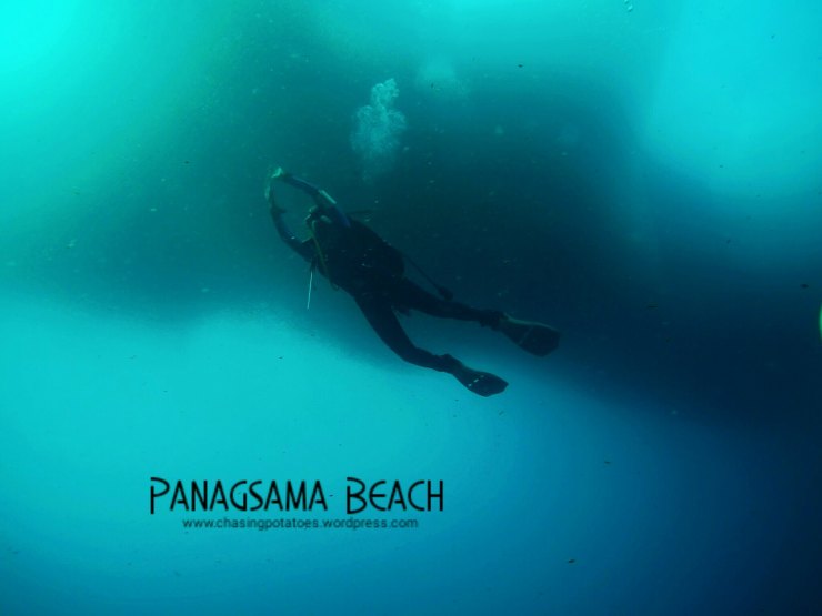 The Three Sites in Moalboal : Haven for Divers and Non Divers Alike