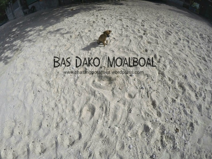 The Three Sites in Moalboal : Haven for Divers and Non Divers Alike