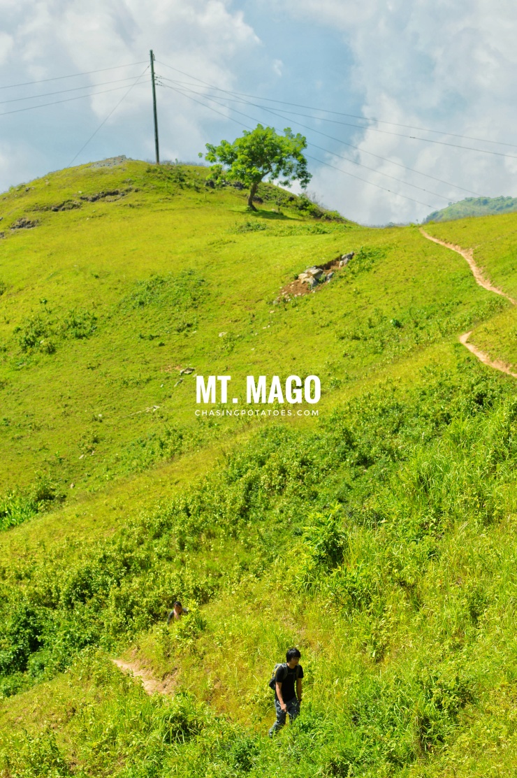 Mt. Mago